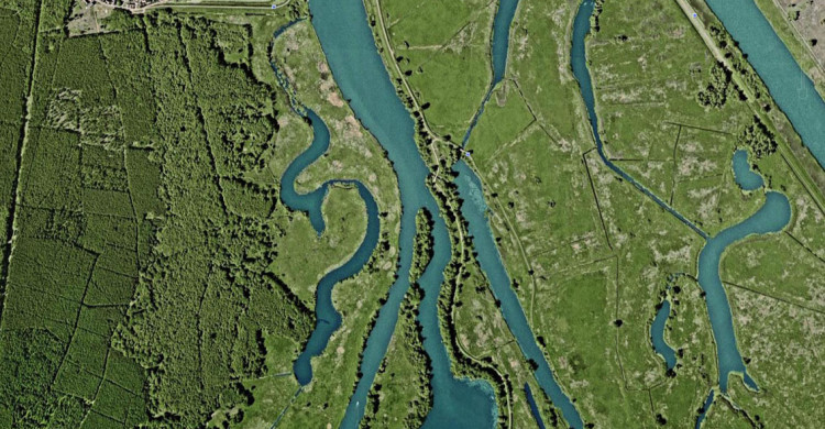 Das Gebiet des Nationalparks Unteres Odertal ist durch ein Mosaik aus Gewässern, Röhricht und Grünland geprägt.